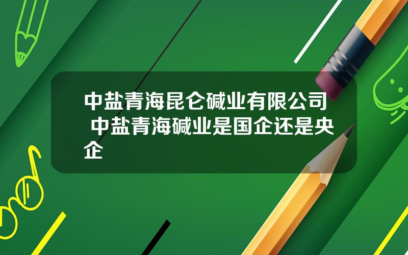 中盐青海昆仑碱业有限公司 中盐青海碱业是国企还是央企